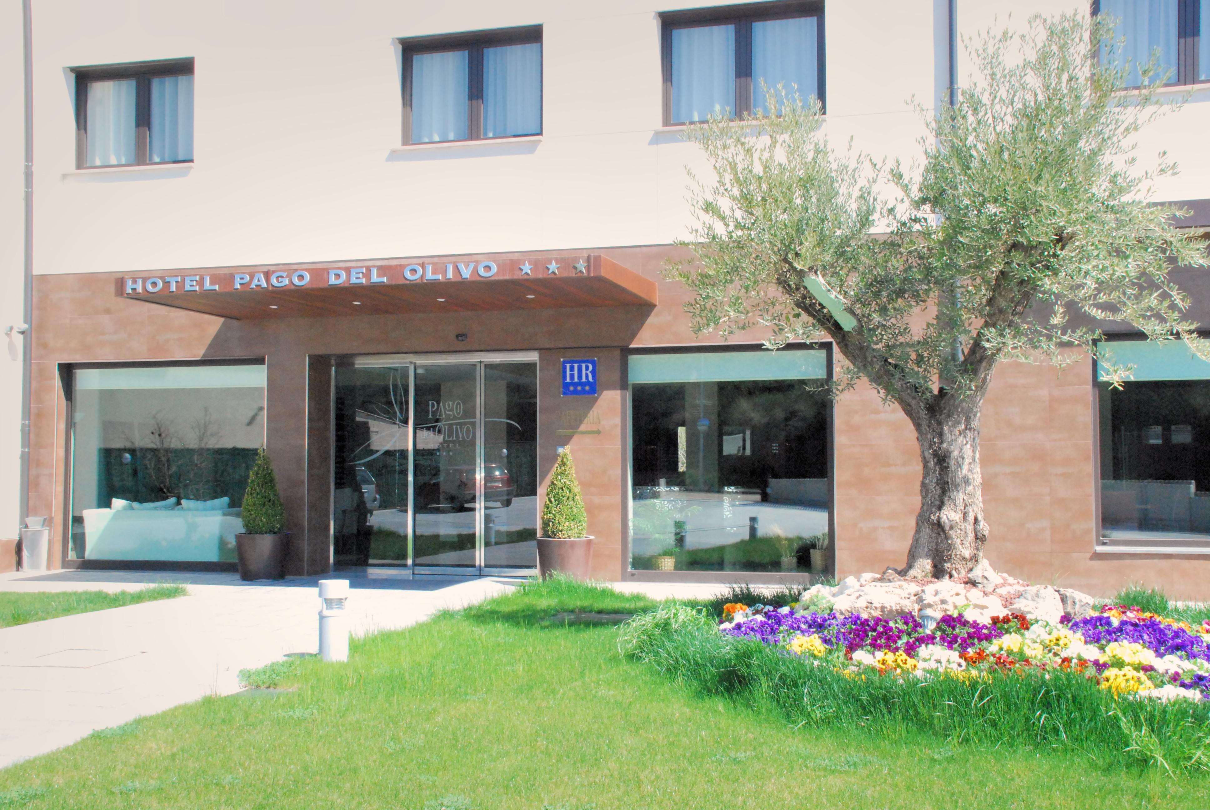 Hotel Pago Del Olivo Симанкас Екстериор снимка