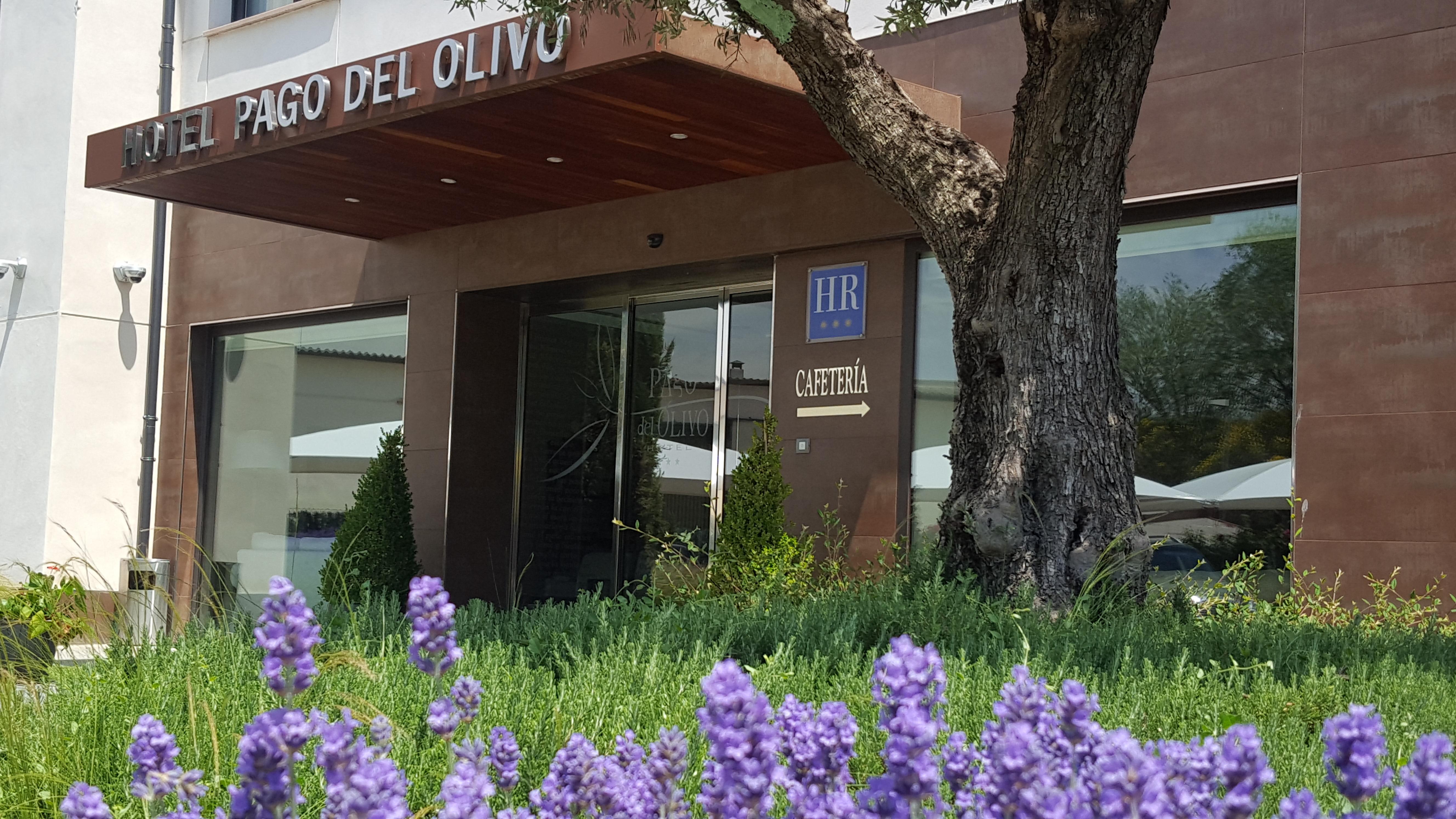 Hotel Pago Del Olivo Симанкас Екстериор снимка