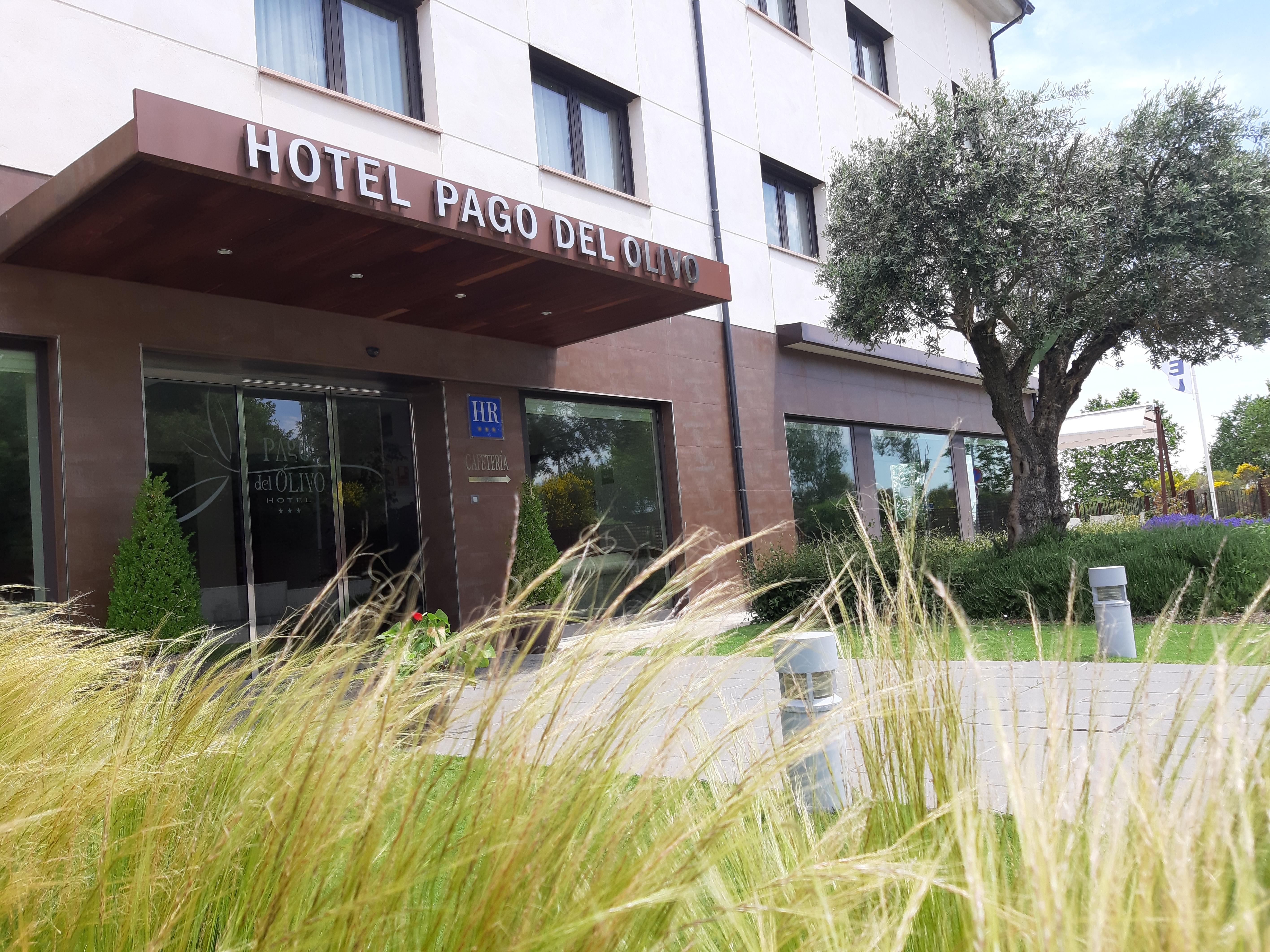Hotel Pago Del Olivo Симанкас Екстериор снимка